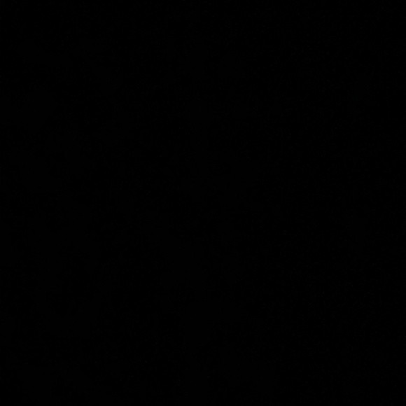 Meet your Posher, Davianne - Picture 1 of 1